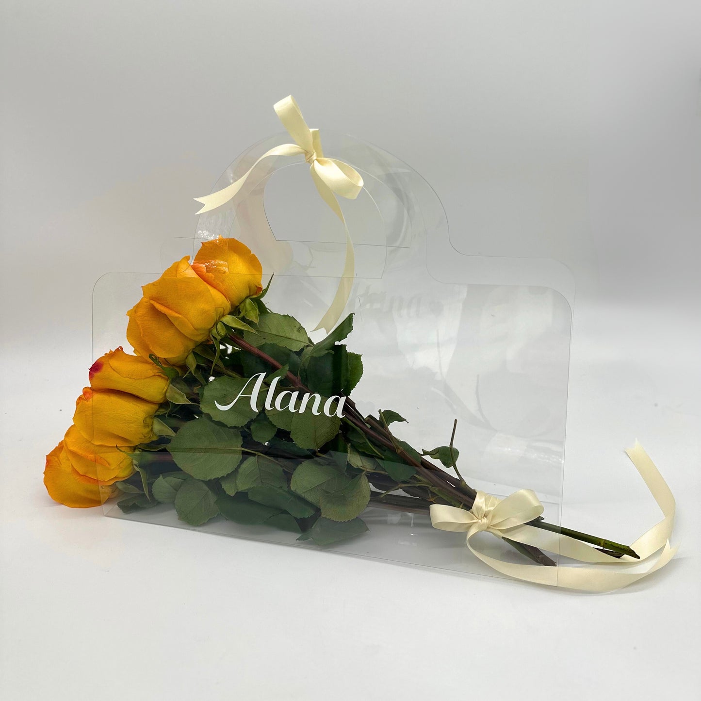 Clear Purse Bag L