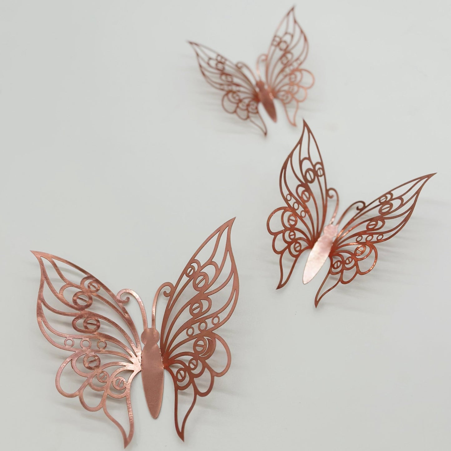 Butterfly Pack of 12