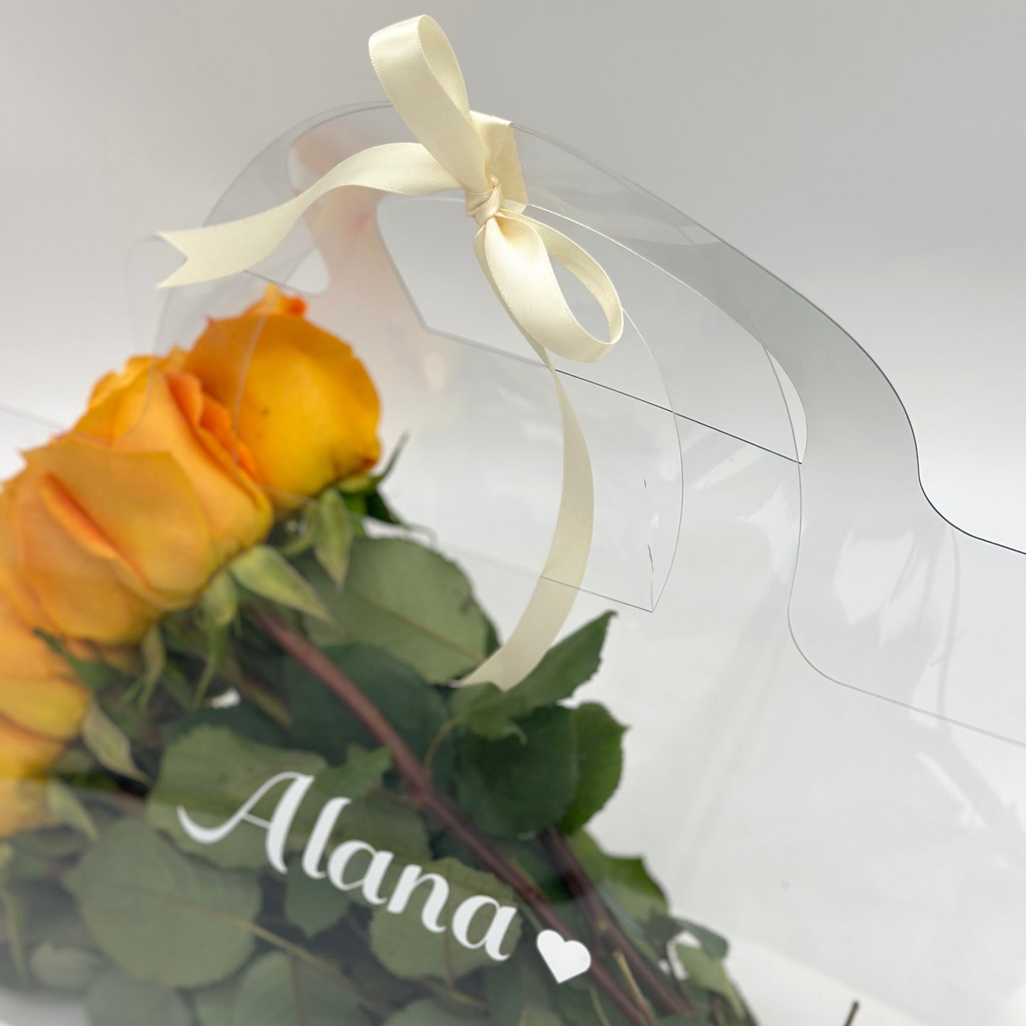 Clear Purse Bag L