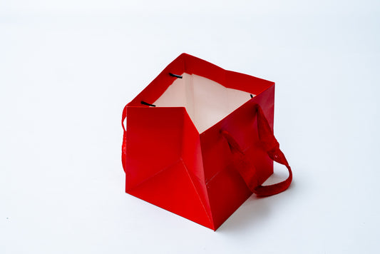 Cube Bag 12" Pck 12