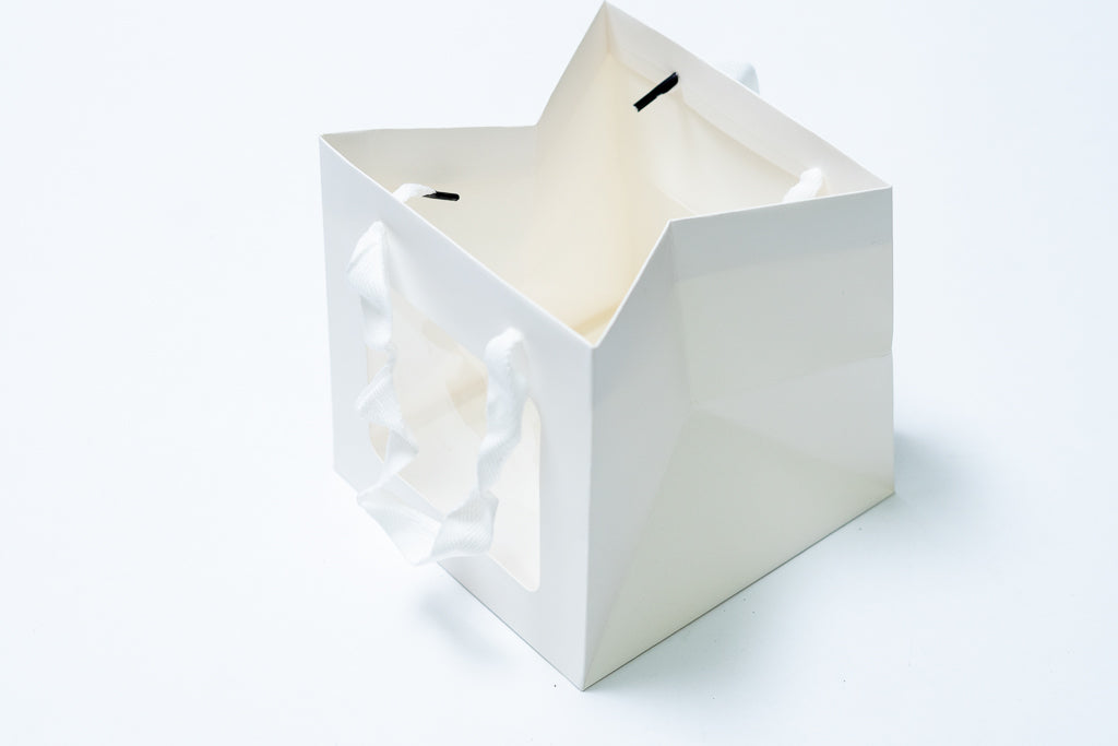 Cube Bag 12" Window Pck 10