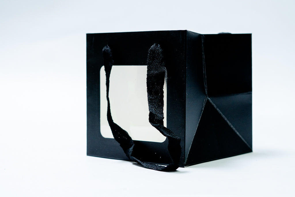 Cube Bag 10" Window Pck 12