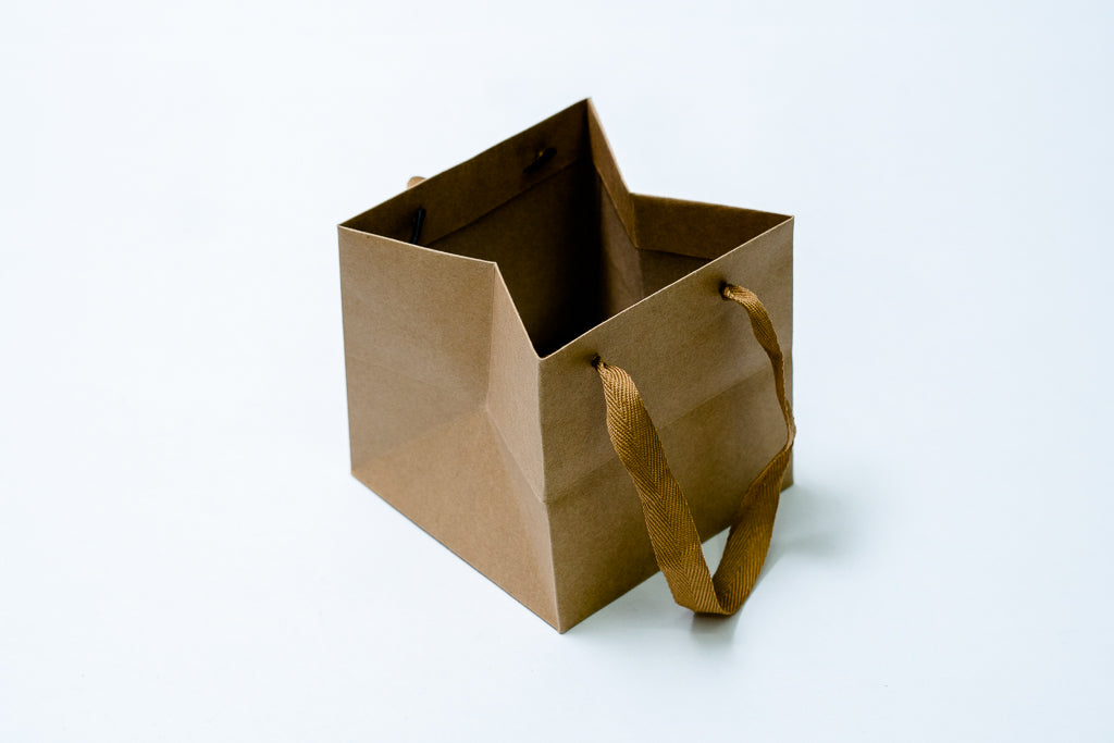 Cube Bag 10" Pck 12