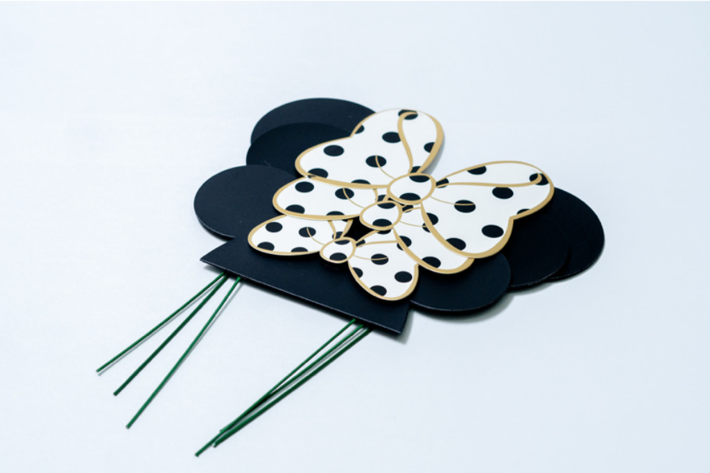 Minnie Box Set