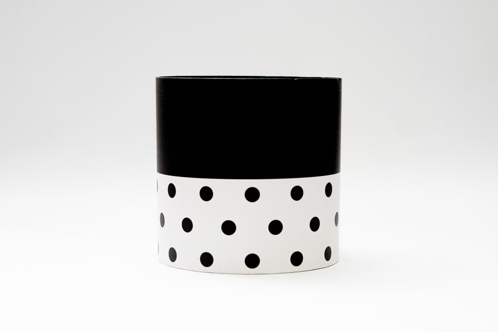 Minnie Box Set