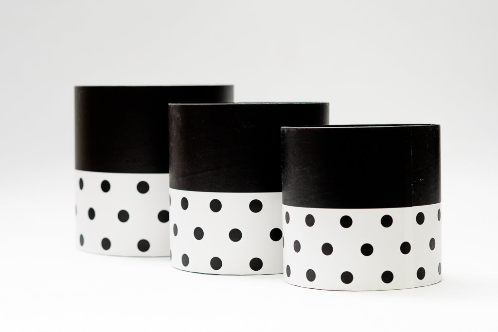 Minnie Box Set