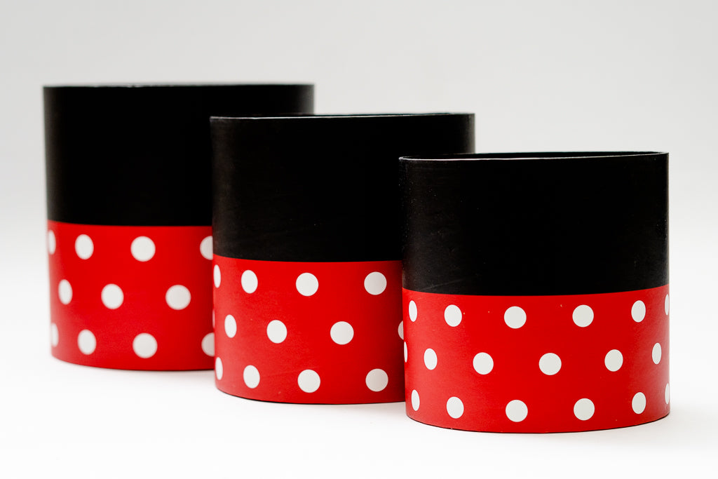 Minnie Box Set