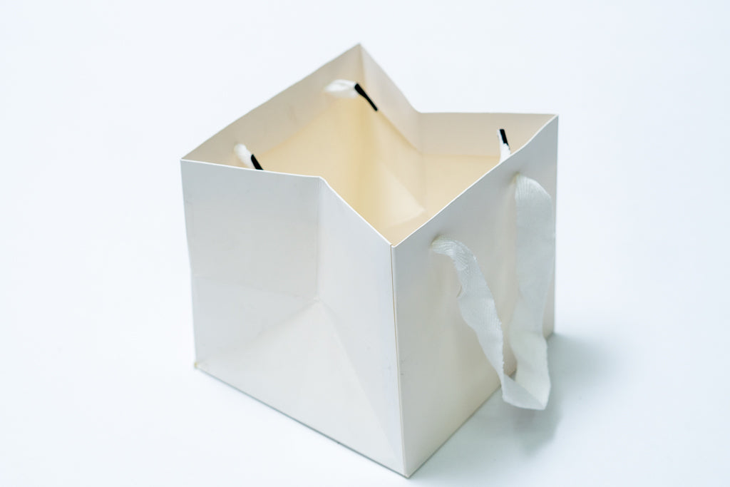 Cube Bag 12" Pck 12