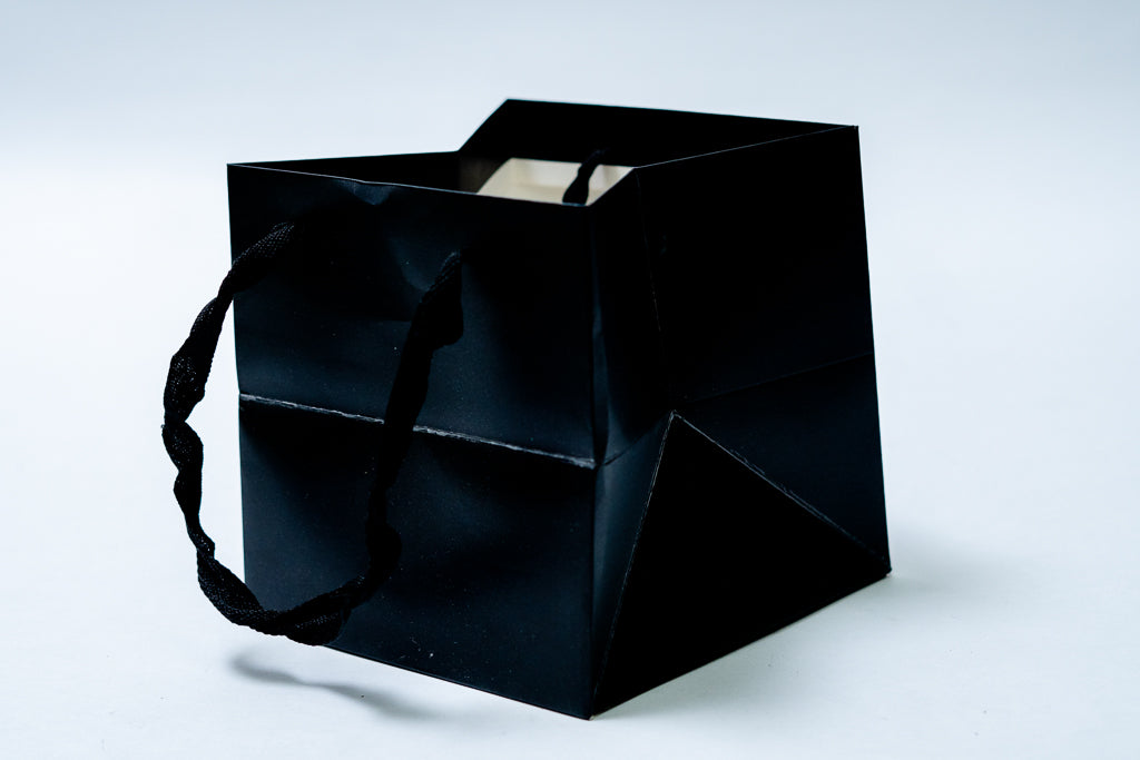 Cube Bag 10" Pck 12