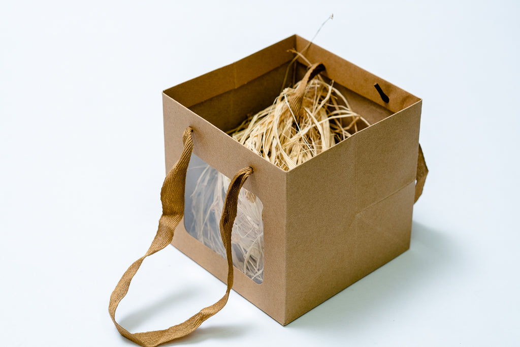 Cube Bag 12" Window Pck 10