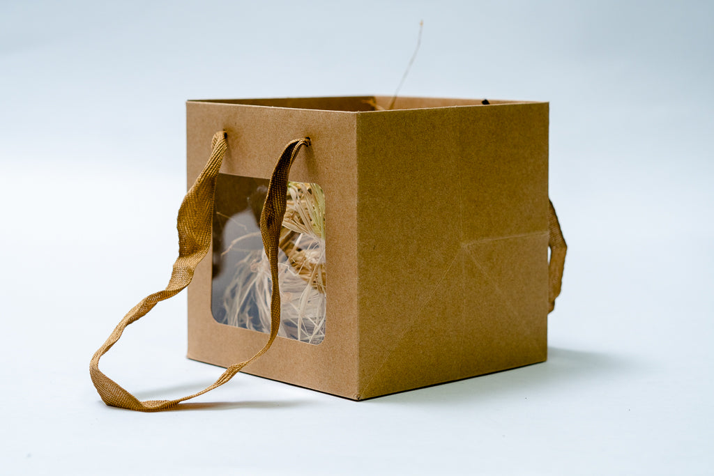 Cube Bag 12" Window Pck 10