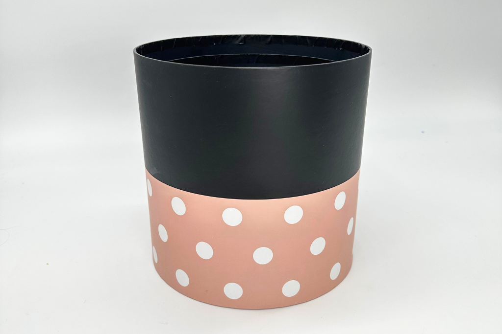 Minnie Box Set
