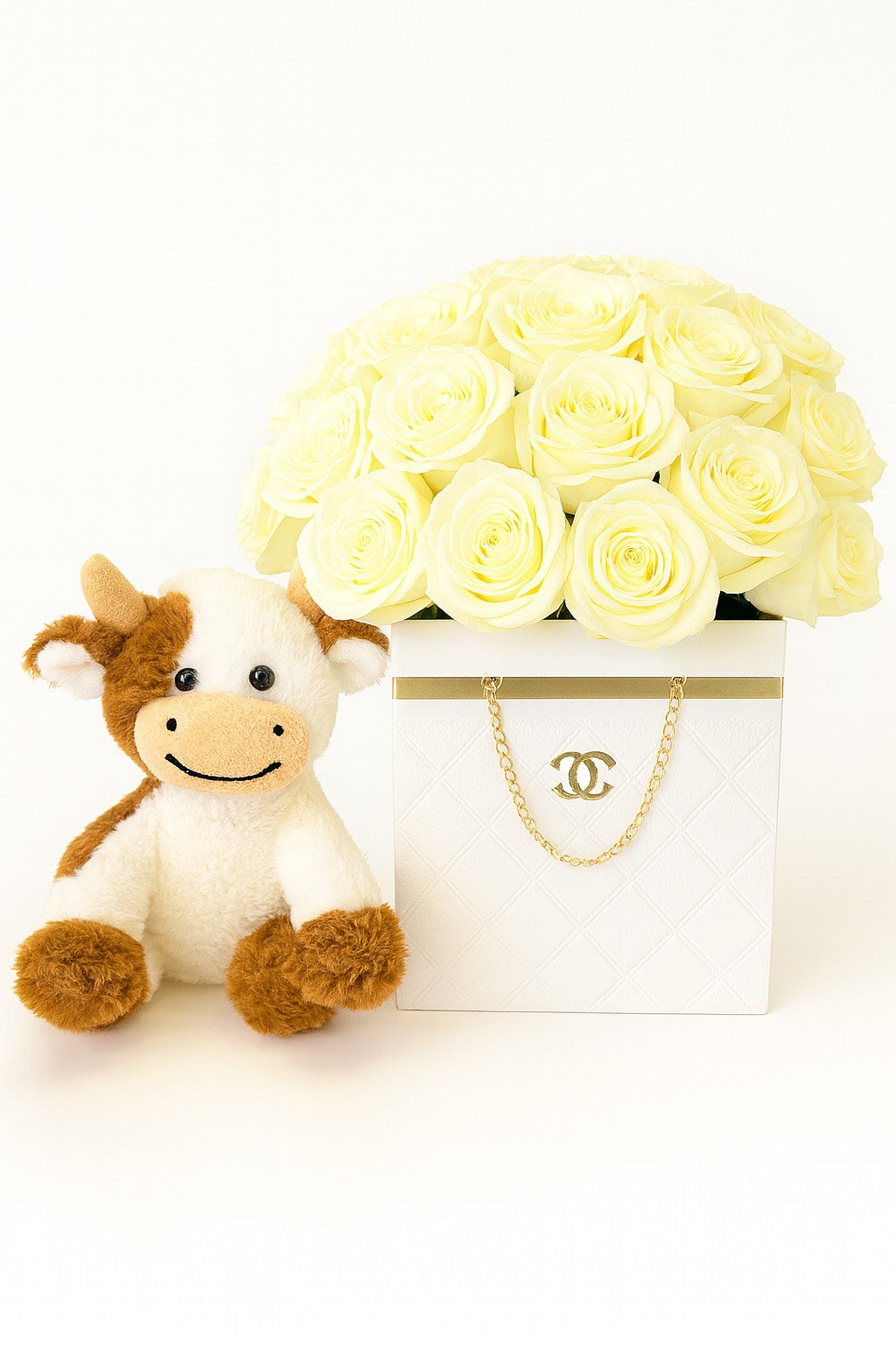 Designer Bag Pack of 2