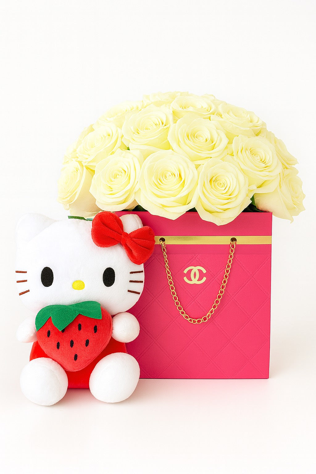 Designer Bag Pack of 2