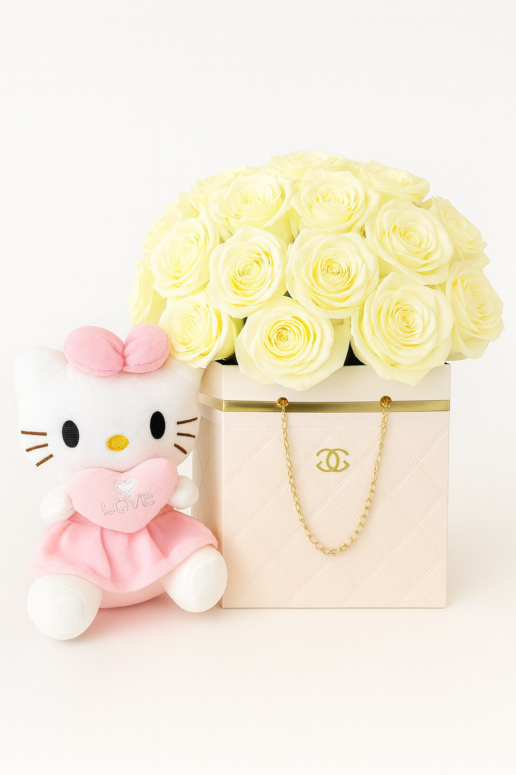 Designer Bag Pack of 2