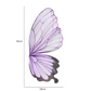 Colors Butterfly Accent Wrapping Paper Pack 5