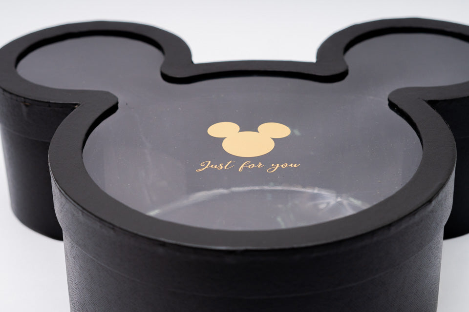 Mickey Box